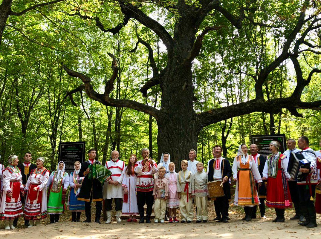 Чувашия продолжает голосовать: теперь выбираем российское дерево года