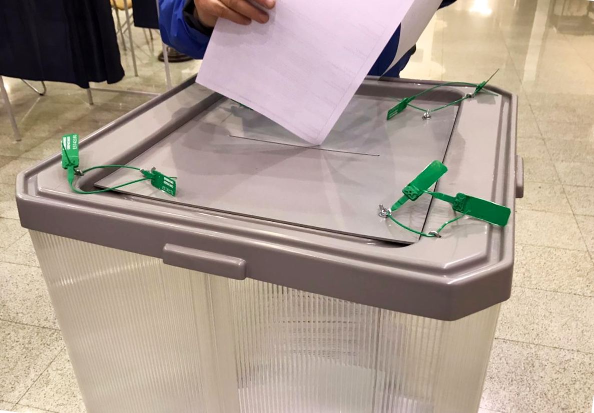 После обработки 8% бюллетеней Олег Николаев набирает больше 84% голосов