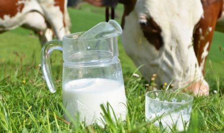 Чувашия увеличивает средний надой молока и продолжает поддерживать владельцев коров